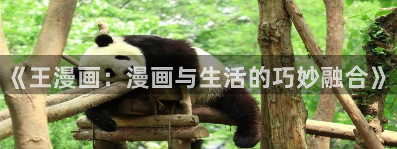 喵趣玩官网：《王漫画：漫画与生活的巧妙融合》