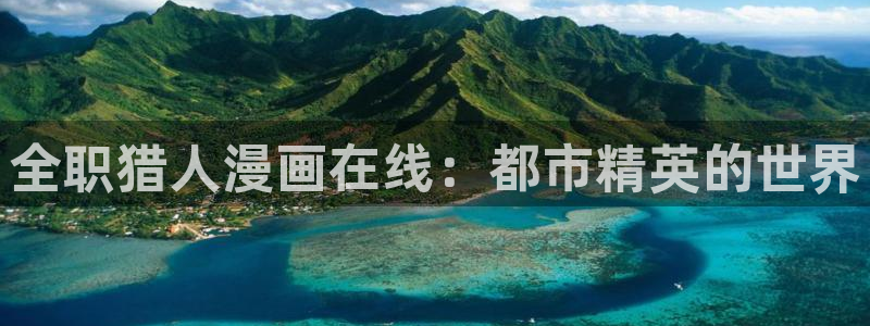 喵趣漫画无删减版：全职猎人漫画在线：都市精英的世界
