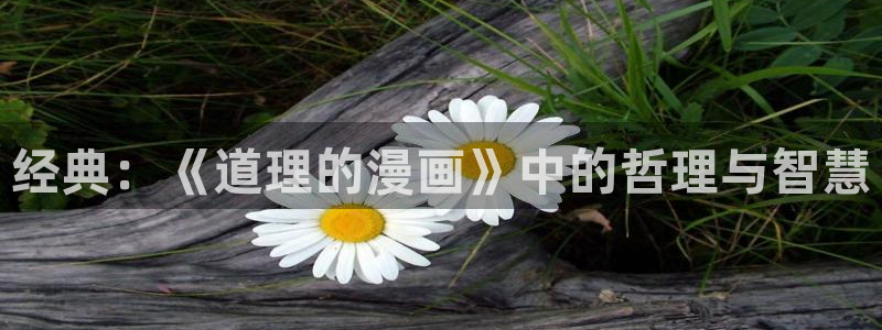 喵趣漫画2026复活版：经典：《道理的漫画》中的哲理与智慧