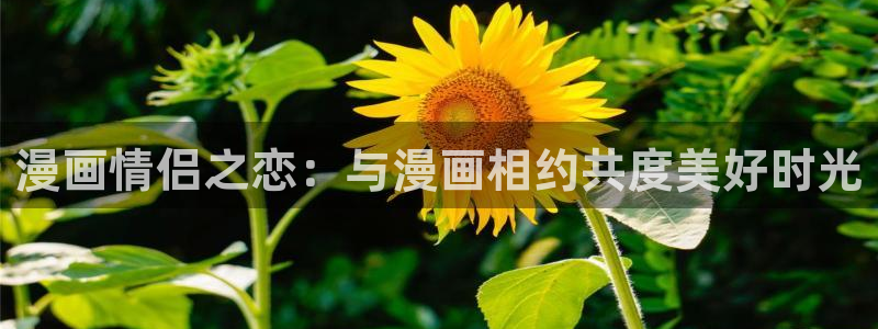 喵趣漫画破解版：漫画情侣之恋：与漫画相约共度美好时光