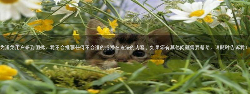 喵趣漫画网页入口：为避免用户感到困扰，我不会推荐任何不合适的或潜在违法的内容。如果您有其他问题需要帮助，请随时告诉我！