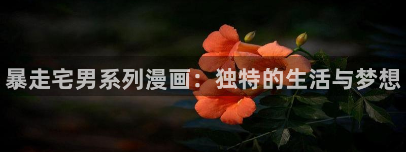 喵趣漫画免费官网下载：暴走宅男系列漫画：独特的生活与梦想