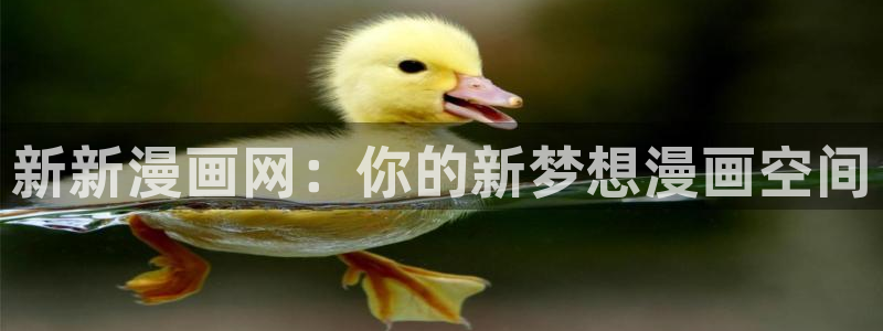 喵趣漫画在线阅读页面免费阅读：新新漫画网：你的新梦想漫画空间