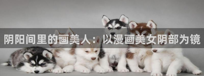 喵趣漫画用不了