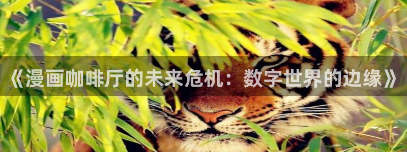 喵趣漫画修复版
