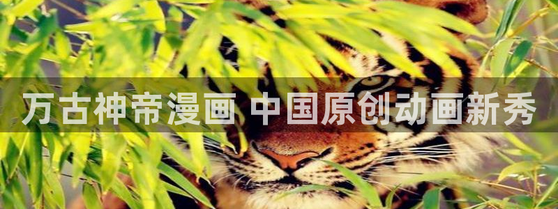 喵趣漫画最新版下载