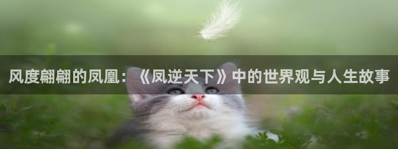 喵趣免费