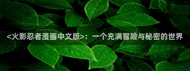 喵趣动漫下载